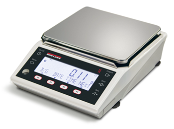 Rice Lake TE Series Balance